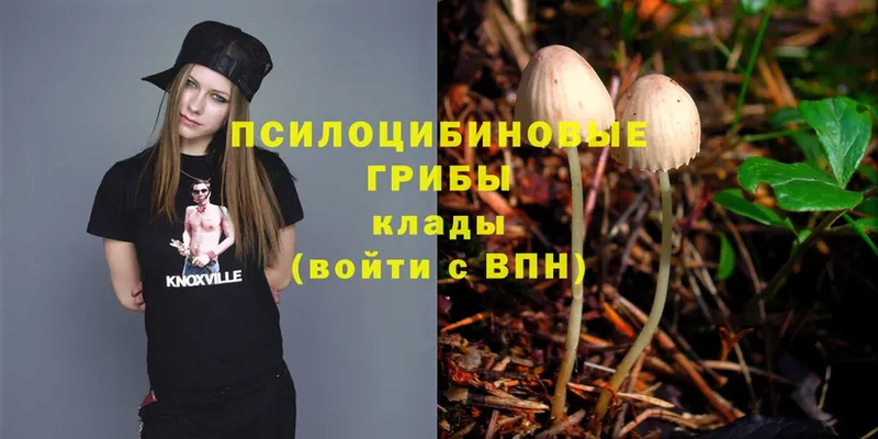 как найти закладки  Билибино  Псилоцибиновые грибы MAGIC MUSHROOMS 